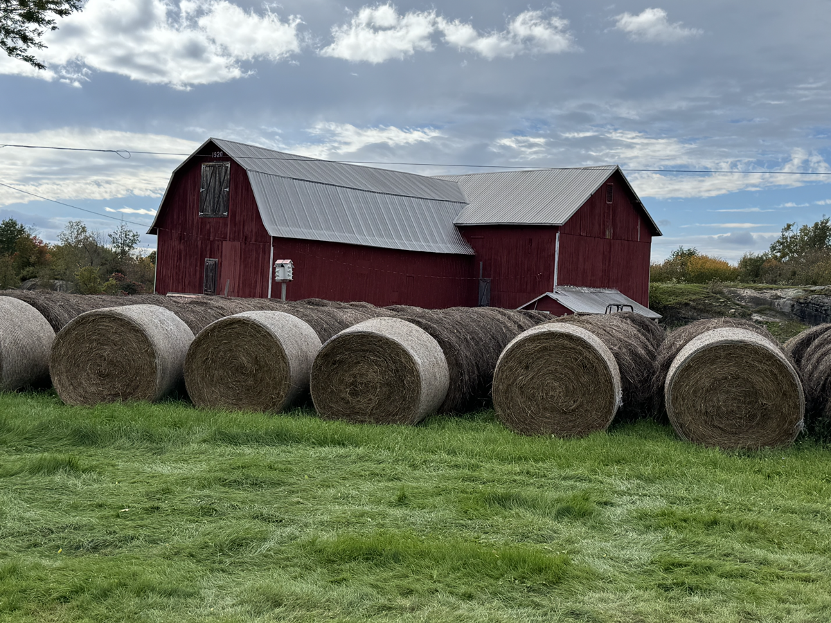 Hay Bundles