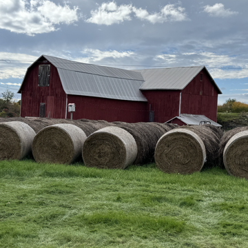 Hay Bundles - October 2026